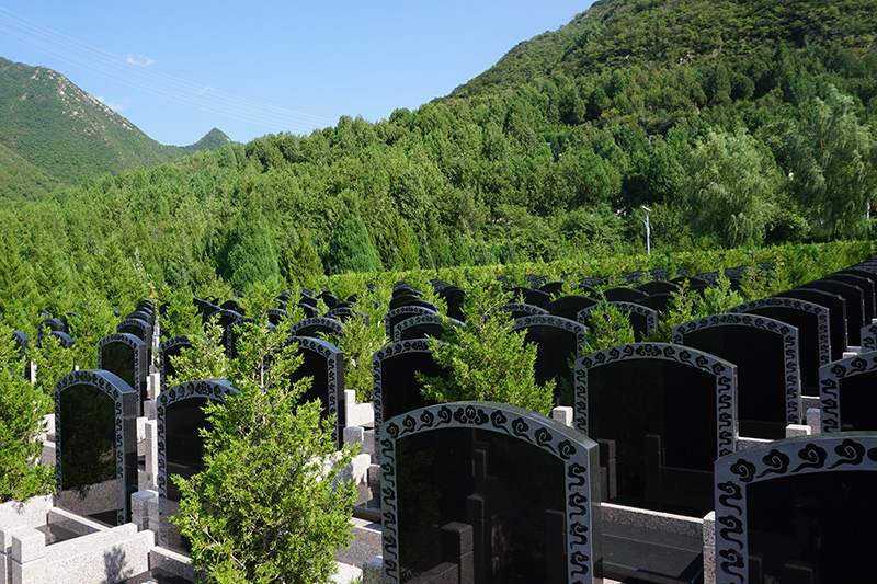 八达岭墓地利弊（八达岭墓地价格多少）
